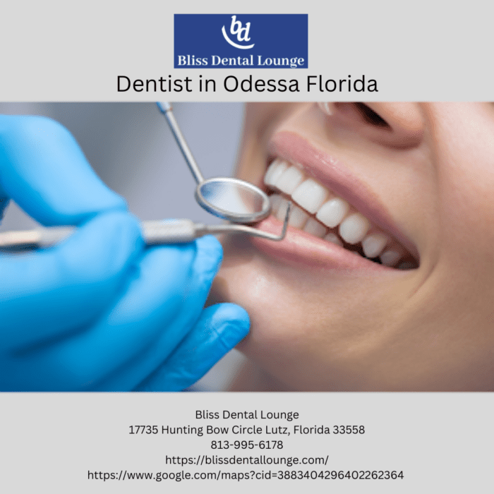 Dentist Odessa Florida Bliss Dental Lounge